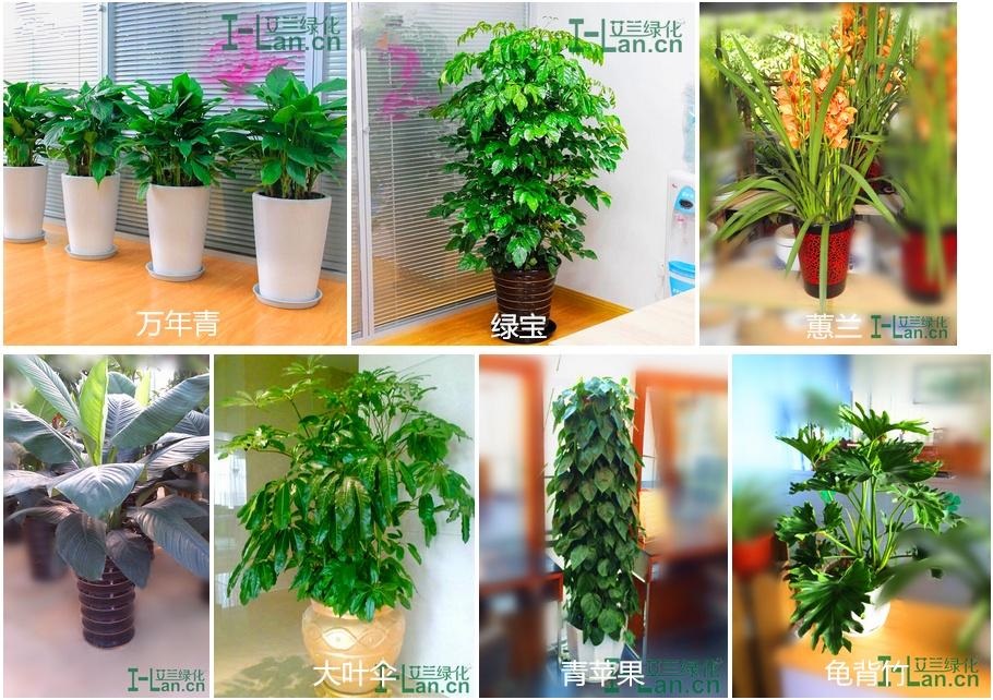 首页| 今年会·jnh中国官方网站